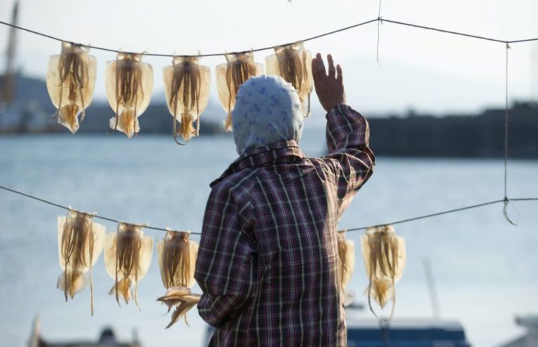 Πληθαίνουν τα κεφαλόποδα στους ωκεανούς του πλανήτη