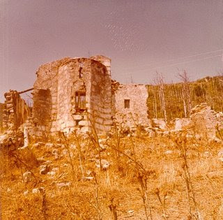 Ζάκυνθος-Εφορεία Αρχαιοτήτων: «Πράσινες Πολιτιστικές Διαδρομές»