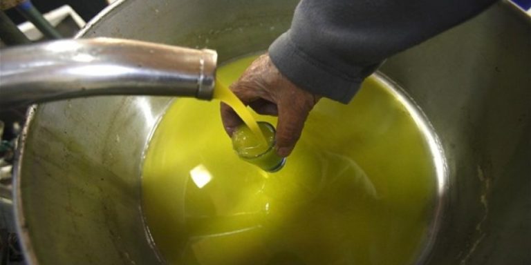 Τα ελαιοτριβεία της φοροδιαφυγής διευρευνά η ΑΑΔΕ: Έκρυβαν έσοδα πάνω από 80 εκατ. ευρώ