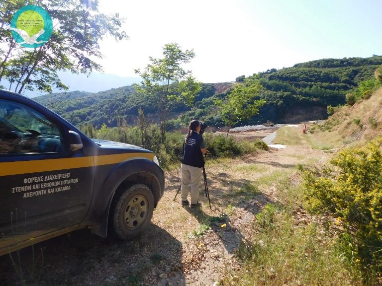 Έρευνα για τον λευκό πελαργό