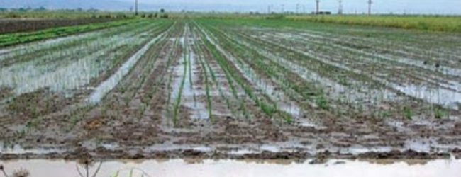 Να κηρυχθεί σε κατάσταση έκτακτης ανάγκης ζητά ο Δήμος Αλμυρού