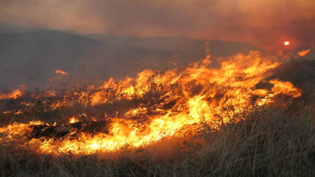 Aπαγορεύεται η καύση υπολειμμάτων καλλιεργειών στην ΠΕ Λάρισας