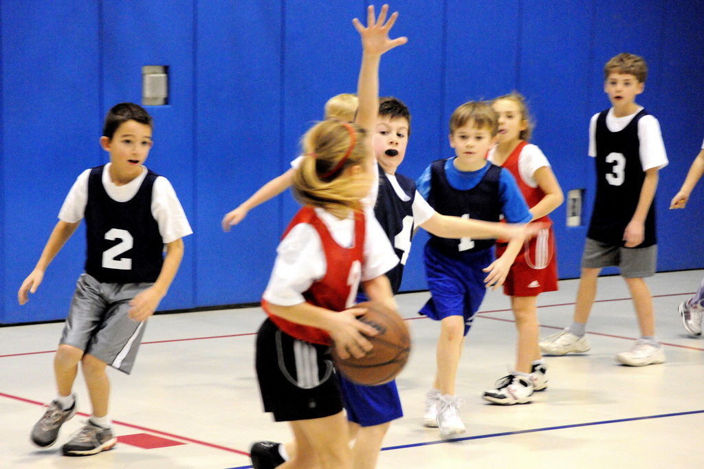 basket