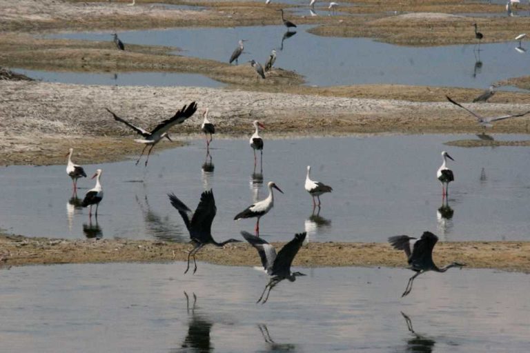 Συντήρηση αντλιοστασίων της λίμνης Κάρλας από την Περιφέρεια Θεσσαλίας