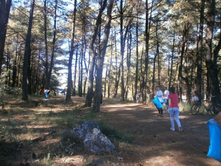 Ζητούμενο η προστασία και η αξιοποίηση του Άλσους