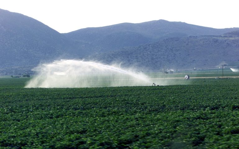 Τραυματισμός 30 αλλοδαπών εργατών γης στη Θήβα