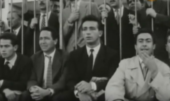 ΟΙ ΑΣΣΟΙ ΤΟΥ ΓΗΠΕΔΟΥ