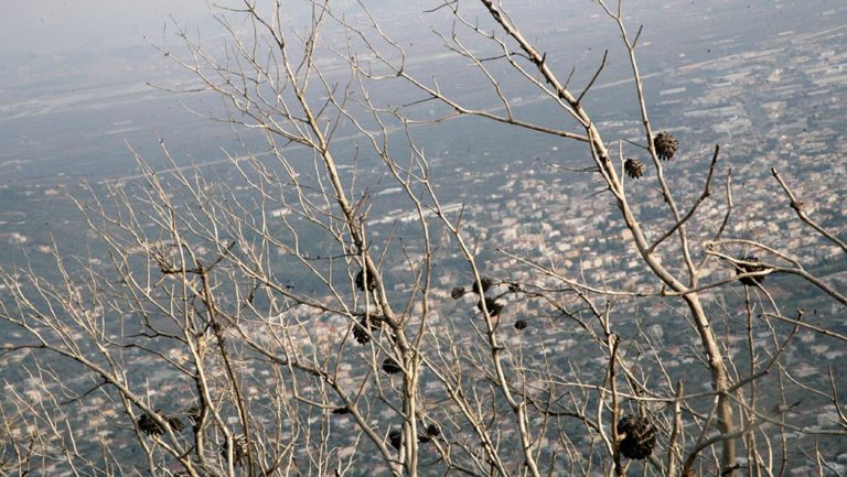 «Κοινωνική Κατοικία» – Σανίδα σωτηρίας για τις άπορες οικογένειες (video)