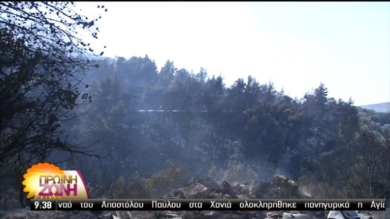 Μαίνεται η πυρκαγιά στα Δερβενοχώρια (video)
