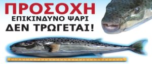 epikindino_psari