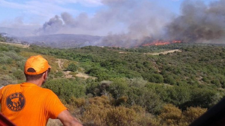 Σε εξέλιξη μεγάλη πυρκαγιά στη Σιθωνία