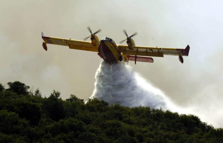 Σε εξέλιξη πυρκαγιά σε δασική έκταση στα Μέγαρα