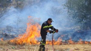 WWF: Δράσεις των τοπικών κοινωνιών για επιτυχή πυροπροστασία