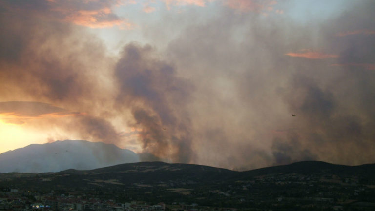 Φωτιά κατακαίει δασικές εκτάσεις στα Δερβενοχώρια Βοιωτίας – Κατέπεσε Καναντέρ – Σώοι οι πιλότοι (video)