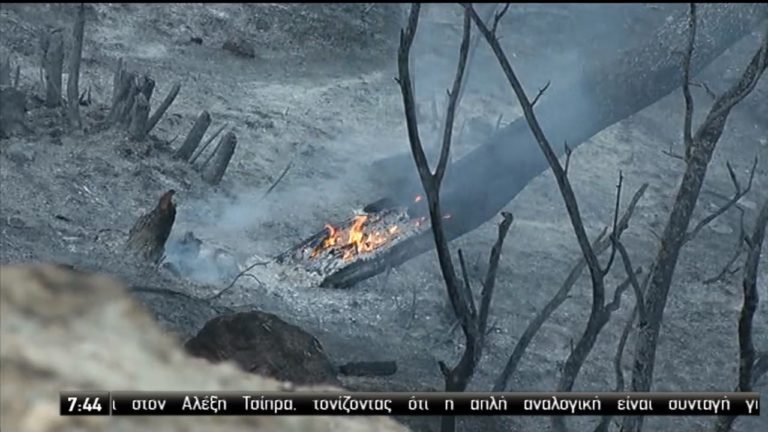 Μάχη με τις φλόγες για τέταρτη ημέρα στα Δερβενοχώρια (video)