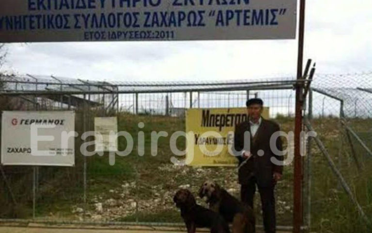 Πύργος: Aγώνες για το πιο γρήγορο λαγόσκυλο