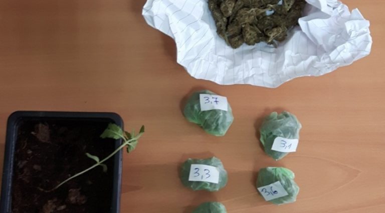 Δράμα: Σύλληψη ημεδαπoύ για καλλιέργεια και κατοχή ναρκωτικών
