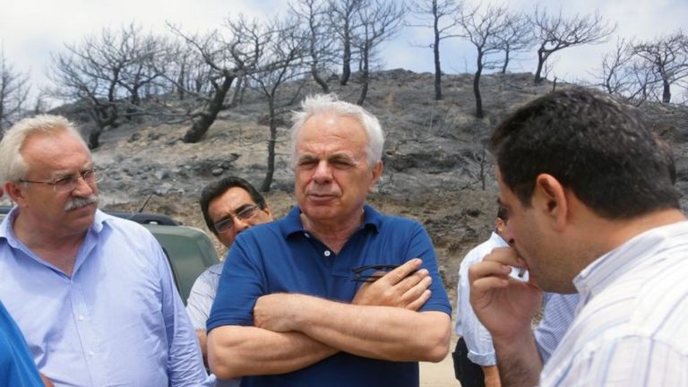Άμεσα οι αποζημιώσεις στους πληγέντες από τις πυρκαγιές (video)