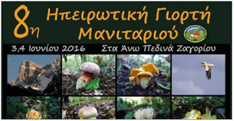 Γιορτάζουν οι μανιταρόφιλοι Ηπείρου