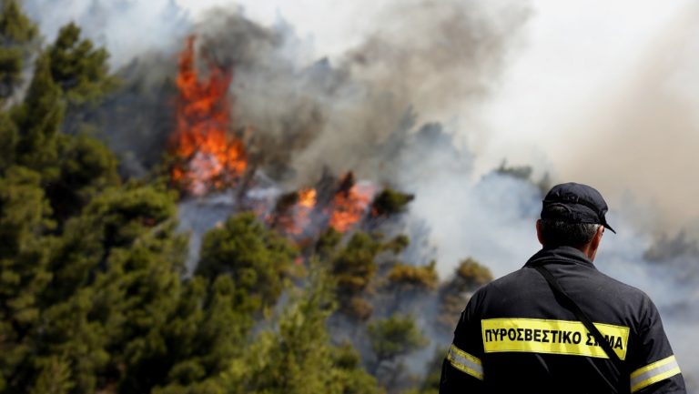 Ανεξέλεγκτη μαίνεται η πυρκαγιά στη Βοιωτία (video)