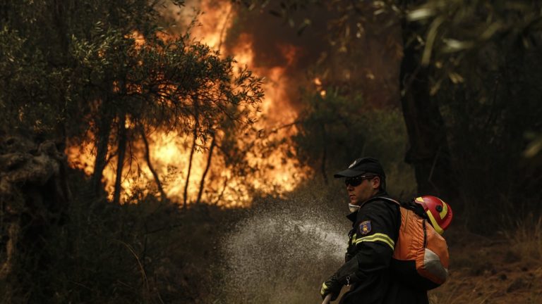 Ολονύκτια η μάχη με τη φωτιά στη Βοιωτία (video)