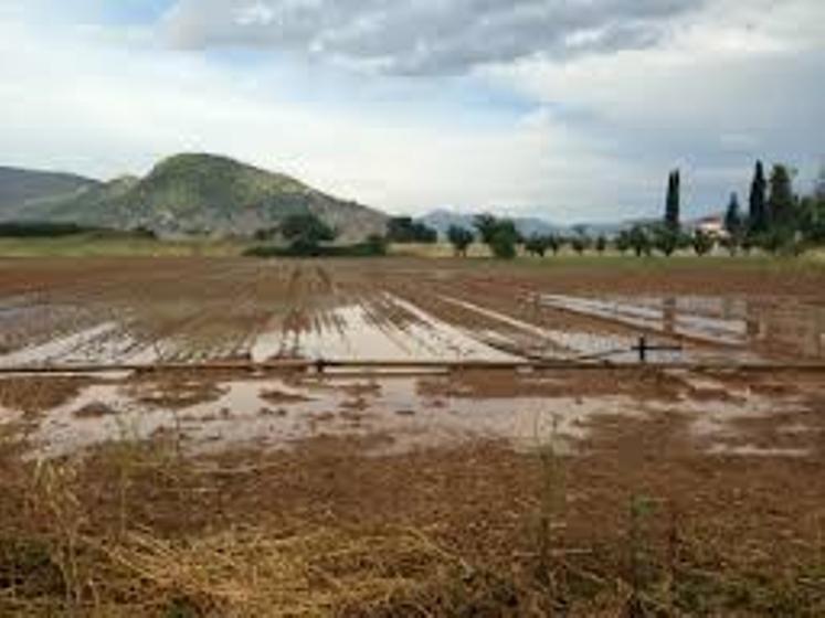 Ορεστιάδα: Ερώτηση Α. Δημοσχάκη για τις de minimis ενισχύσεις σε πλημμυροπαθείς παραγωγούς