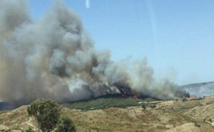 Ηράκλειο: Πυρκαγιά σε περιοχή των Καστελλιανών