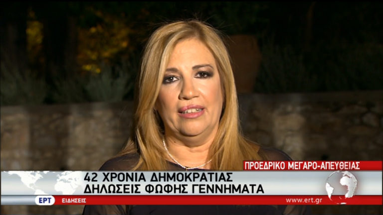Φ. Γεννηματά: Χρειαζόμαστε ομοψυχία και εθνική συνεννόηση (video)