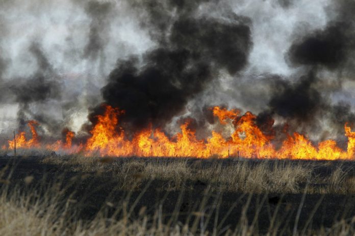 Λασίθι: Σε ύφεση η πυρκαγιά στο Μαρδάτι