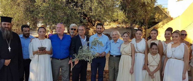 Χανιά: O Κότινος από την Μνημειακή Ελιά των Βουβών ταξιδεύει στο Ρίο ντε Τζανέιρο
