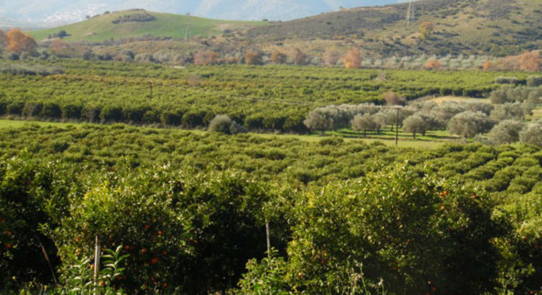 Ξεκίνησε η 19η Έκθεση Αγροτουρισμού