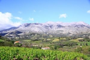 asites