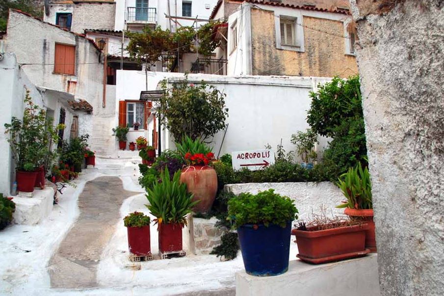 Τα πεδία δράσης της Alternative Tours of Athens αφορούν σε θεματικές εναλλακτικών περιηγήσεων: αρχιτεκτονική, νυχτερινή ζωή, street art, φωτογραφία, δημιουργικά εργαστήρια, λογοτεχνία, κινήματα, ποδηλασία...
