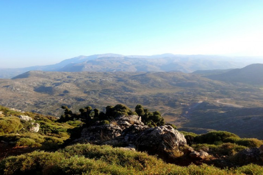 d27de0fb8ca995212e413d67b14087d4.jpg.pagespeed.ce.rl0Hh1rdt_