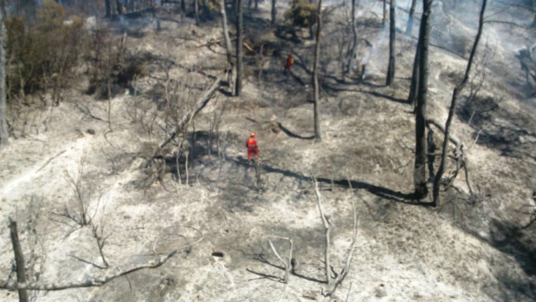 Πύργος: Έγκριση έργων Ταμείου Μολυβιάτη
