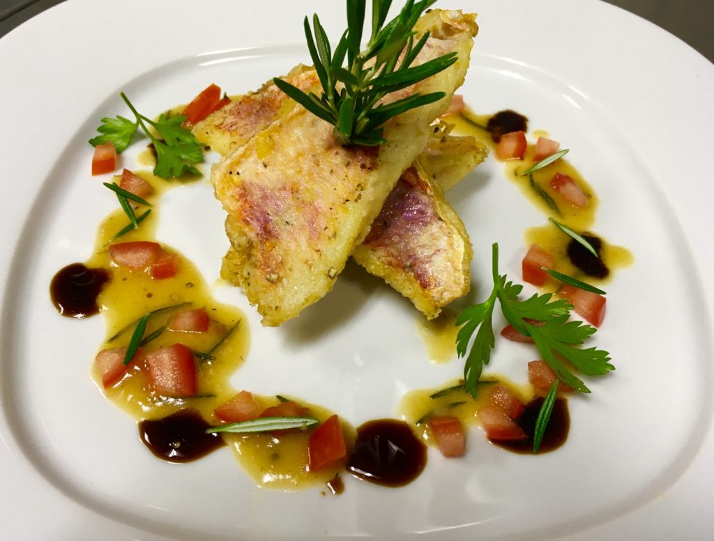 fish-barbounia