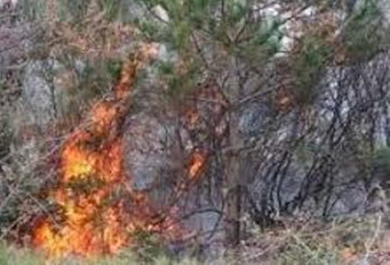 Σέρρες: Φωτιά χθες το απόγευμα σε αγροτική περιοχή