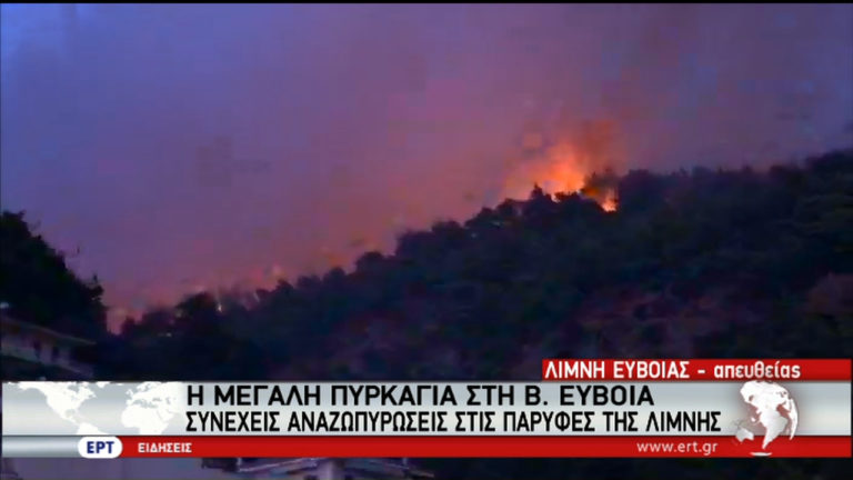 Μάχη με τις φλόγες στην Εύβοια (video)