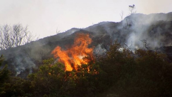 Λασίθι: Σε ύφεση η πυρκαγιά στο Σελάκανο Ιεράπετρας