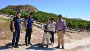 japan_wines
