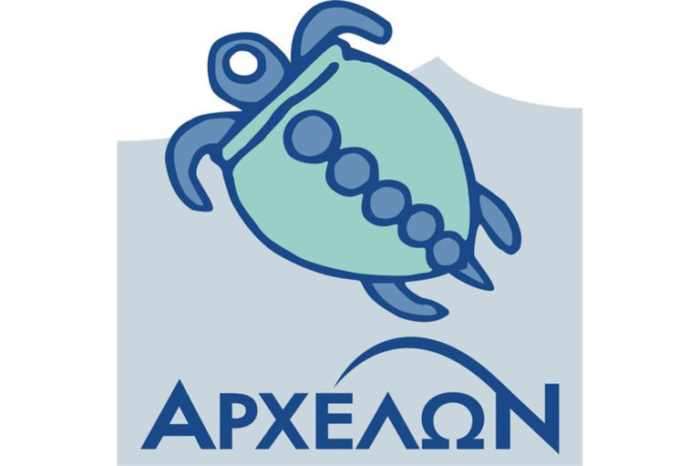 Χανιά: Τα πρώτα χελωνάκια για το 2016 κολυμπάνε από  χθες στα νερά της Κρήτης (audio)