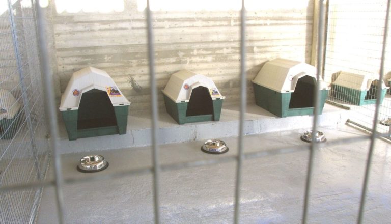 Εργαζόμενος στο κυνοκομείο Σερρών σκότωσε δυο σκυλιά
