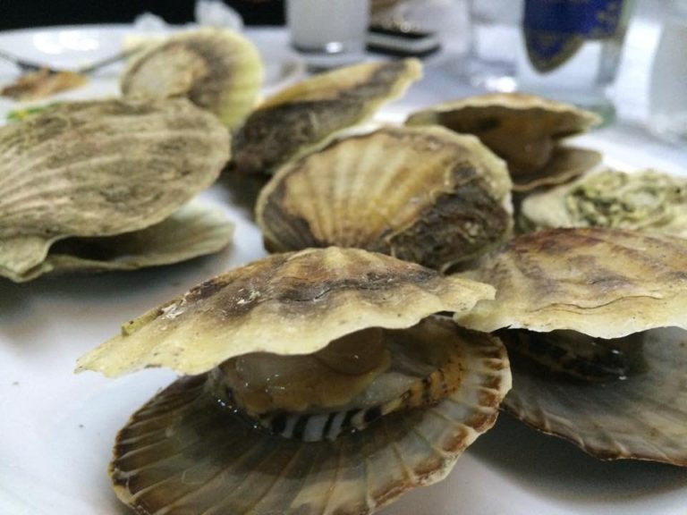 Αλεξανδρούπολη: Κατασχέθηκαν ακατάλληλα όστρακα