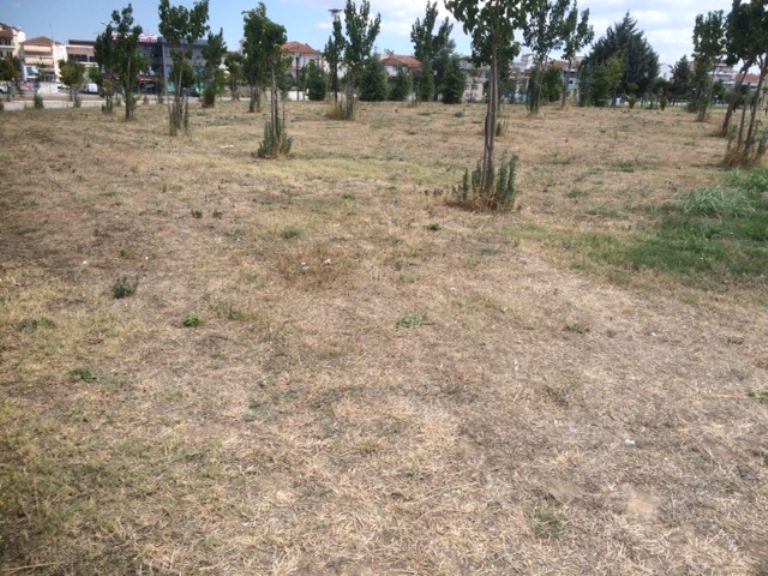 Για εγκατάλειψη των πλατειών κατηγορεί τη δημοτική αρχή η Ρένα Καραλαριώτου
