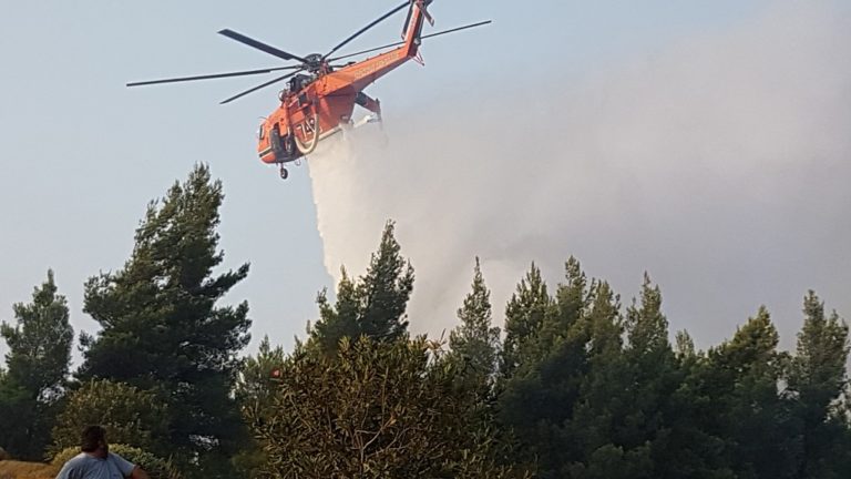 Δύο πυρκαγιές σε εξέλιξη σε Αρκαδία και Λακωνία