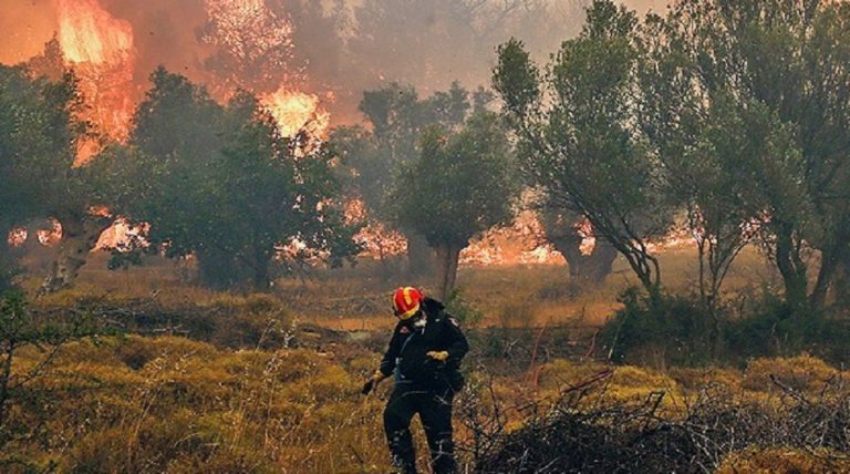 WWF: Φωτιές για βόσκηση – μια παράδοση που τείνει να γίνει καταστροφή (video)
