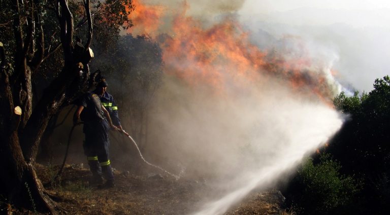 Σε εξέλιξη οι πυρκαγιές στην Ιεράπετρα και το Νεοχώρι Ιωαννίνων