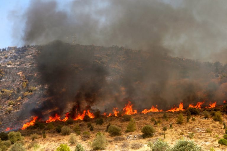 Ηράκλειο: Υπό έλεγχο η πυρκαγιά σε περιοχή της Γαλιάς Μεσαράς