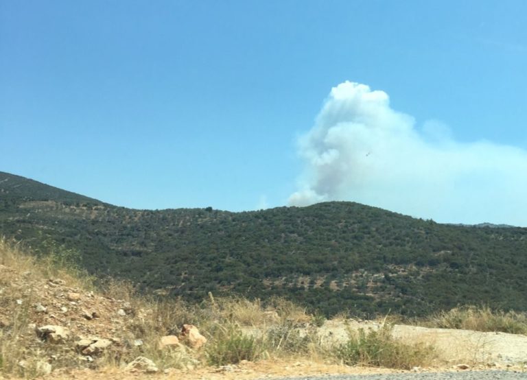 Ανεξέλεγκτη πυρκαγιά στην ορεινή Κυνουρία της Αρκαδίας