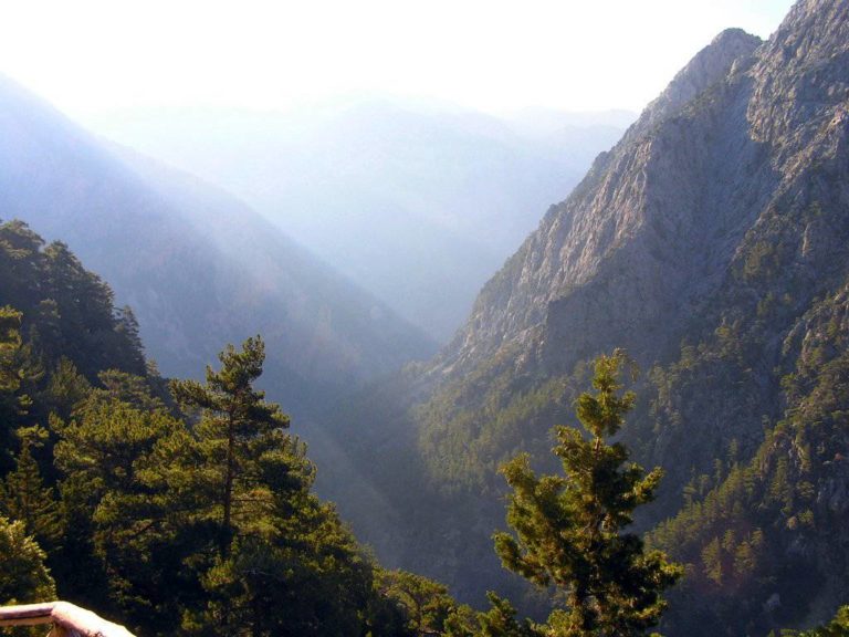 Χανιά: Ερώτηση βουλευτών ΣΥΡΙΖΑ για τον κίνδυνο απένταξης του Δρυμού Σαμαριάς από τον κατάλογο της UNESCO